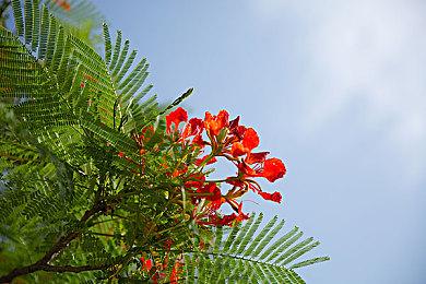 EVO日本2023将于3月底举办 《拳皇15》等游戏确认参加